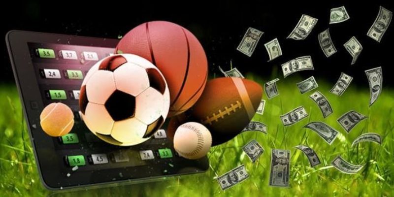 Saba Sports Kingbet86 mang đến cho hội viên trải nghiệm tốt nhất